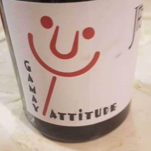 Gamay Attitude - Domaine Jean François Debourg - Jean-François & Ghislaine Debourg 
