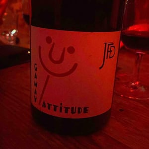 Gamay Attitude 17 - Domaine Jean François Debourg - Jean-François & Ghislaine Debourg