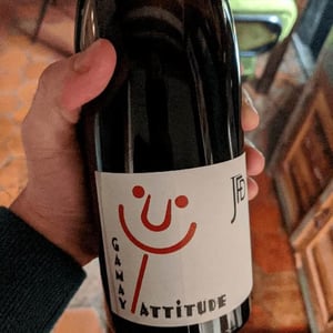 Gamay Attitude - Domaine Jean François Debourg - Jean-François & Ghislaine Debourg 