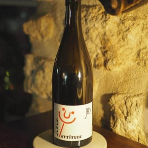 Gamay Attitude - Domaine Jean François Debourg - Jean-François & Ghislaine Debourg 