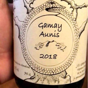 Gamay Aunis - Jean-Christophe Garnier - Jean-Christophe Garnier 