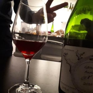 Gamay Aunis - Jean-Christophe Garnier - jean-christophe-garnier