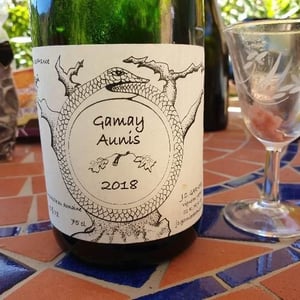 Jean-Christophe Garnier - Jean-Christophe Garnier - Gamay Aunis
