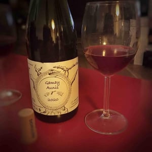Jean-Christophe Garnier - Jean-Christophe Garnier - Gamay Aunis