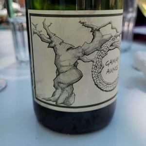 Jean-Christophe Garnier - Jean-Christophe Garnier - Gamay Aunis