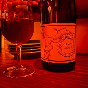 Jean-Christophe Garnier - Jean-Christophe Garnier - Gamay Aunis