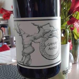 Gamay Aunis - Jean-Christophe Garnier - jean-christophe-garnier