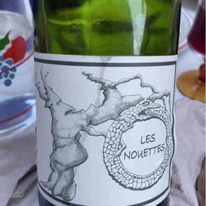 Gamay Aunis - Jean-Christophe Garnier - jean-christophe-garnier