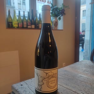 Gamay Aunis - Jean-Christophe Garnier - jean-christophe-garnier