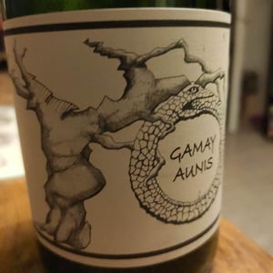 Jean-Christophe Garnier - Jean-Christophe Garnier - Gamay Aunis
