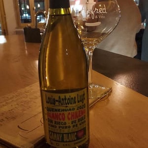 Gamay Blanc - Agricola Luyt - louis-antoine-luyt -2020