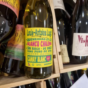 Gamay Blanc - Agricola Luyt - Louis-Antoine Luyt -2020