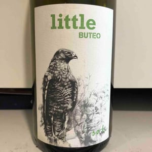 Sol - Michael Gindl - Little Buteo