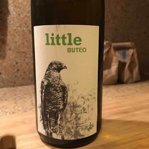 Sol - Michael Gindl - Little Buteo