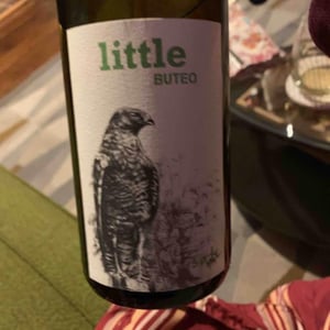 Sol - Michael Gindl - Little Buteo
