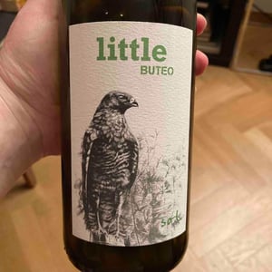 Sol - Michael Gindl - Little Buteo