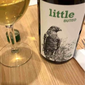 Sol - Michael Gindl - Little Buteo