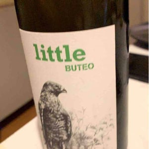 Sol - Michael Gindl - Little Buteo
