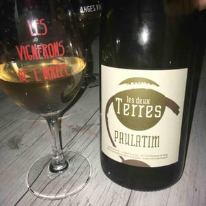 Paulatim - Les Deux Terres - vincent-fargier-emmanuel-cunin