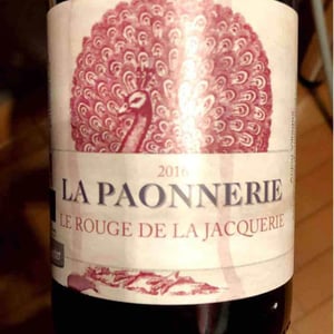Gamay De Clermont - La Paonnerie - marie-carroget