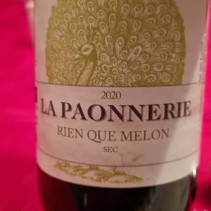 Gamay De Clermont - La Paonnerie - Marie Carroget 