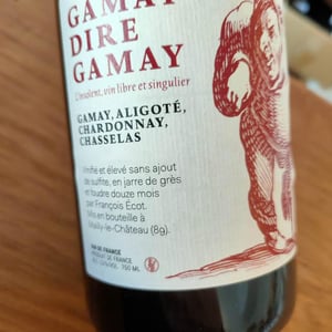 Gamay Dire Gamay - Chai L'insolent - francois-ecot -2020