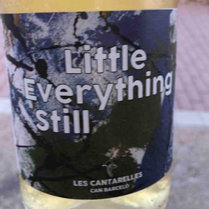 Little Everything Still - Les Cantarelles - nuria-renom-suarez -2021