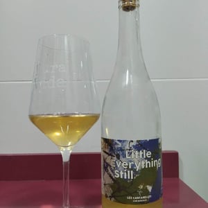 Little Everything Still - Les Cantarelles - Nuria Renom Suárez -2021