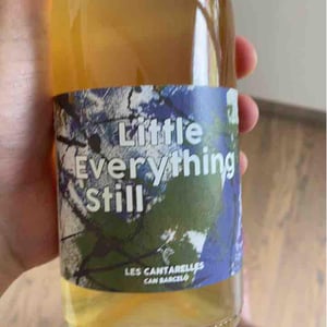 Little Everything Still - Les Cantarelles - Nuria Renom Suárez -2021