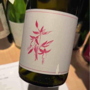 Gamay Noir - Arnot-Roberts - Duncan Arnot Meyers, Nathan Lee Roberts & Caitlin Quinn 