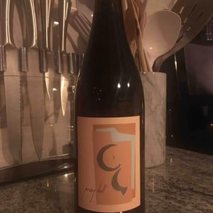 Gamay Noir - Willamette Valley - pray-tell-wines