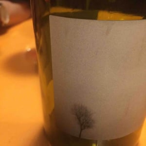 Rouge Gamay - Les Chants Jumeaux - matthieu-lhotelier