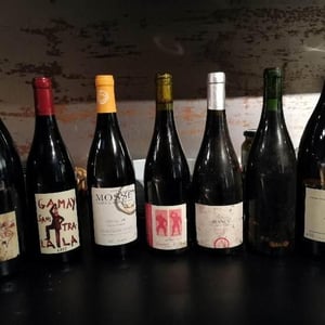 Domaine de la Garreliére - Pascale & François Plouzeau - Gamay Sans Tra-La La