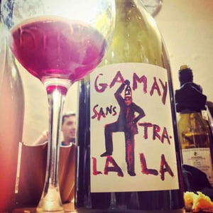 Domaine de la Garreliére - Pascale & François Plouzeau - Gamay Sans Tra-La La