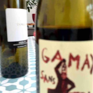 Domaine de la Garreliére - Pascale & François Plouzeau - Gamay Sans Tra-La La