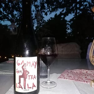 Domaine de la Garreliére - Pascale & François Plouzeau - Gamay Sans Tra-La La