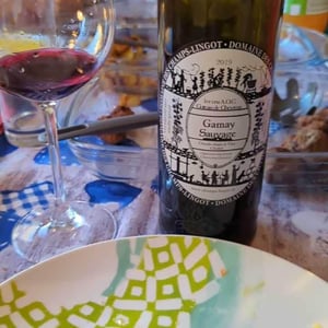 Gamay Sauvage - Domaine des Champs-Lingots - Claude-Alain Chollet 