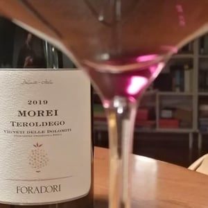 Morei - Azienda Agricola Foradori - elisabetta-foradori
