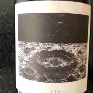 Sous Le Vegetal - Patrick Bouju & Jason Ligas - Livia