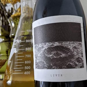 Sous Le Vegetal - Patrick Bouju & Jason Ligas - Livia