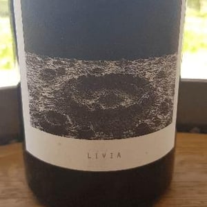 Sous Le Vegetal - Patrick Bouju & Jason Ligas - Livia