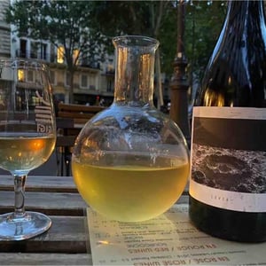 Sous Le Vegetal - Patrick Bouju & Jason Ligas - Livia