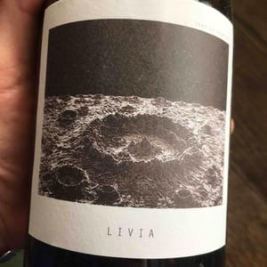Livia - Sous Le Vegetal - patrick-bouju-jason-ligas