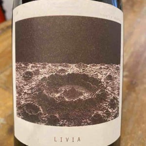 Sous Le Vegetal - Patrick Bouju & Jason Ligas - Livia