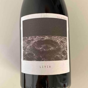 Sous Le Vegetal - Patrick Bouju & Jason Ligas - Livia