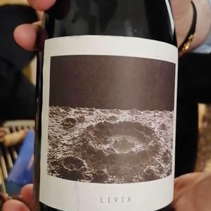 Livia - Sous Le Vegetal - patrick-bouju-jason-ligas