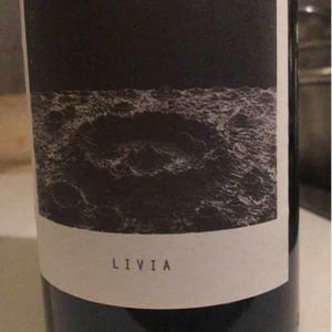 Sous Le Vegetal - Patrick Bouju & Jason Ligas - Livia