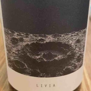 Sous Le Vegetal - Patrick Bouju & Jason Ligas - Livia