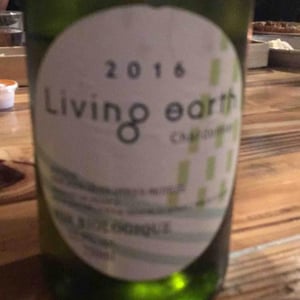 Living Earth - Pays D’Oc - vignobles-bonfils