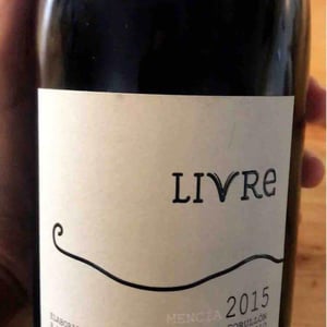 Livre - MicroBioWines - ismael-gozalo